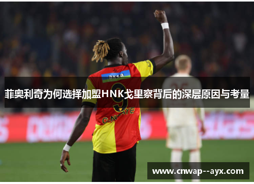 菲奥利奇为何选择加盟HNK戈里察背后的深层原因与考量 菲奥利奇为何选择加盟HNK戈里察背后的深层原因与考量