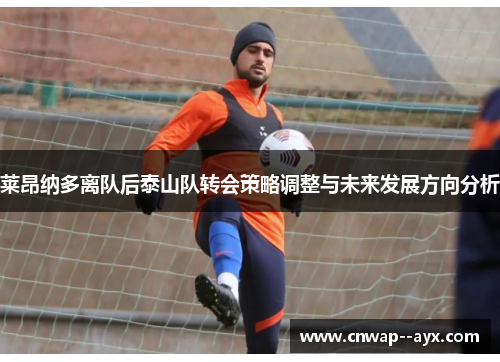 莱昂纳多离队后泰山队转会策略调整与未来发展方向分析 莱昂纳多离队后泰山队转会策略调整与未来发展方向分析