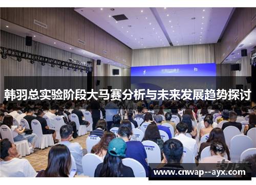 韩羽总实验阶段大马赛分析与未来发展趋势探讨