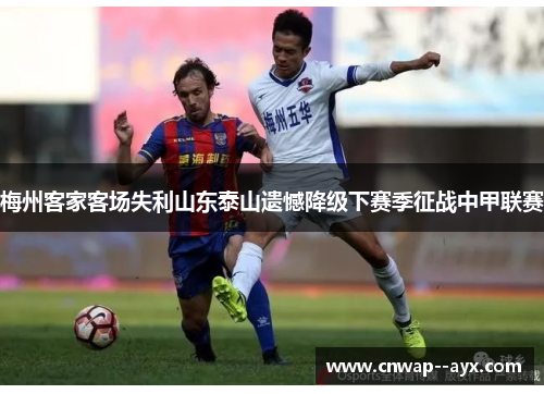 梅州客家客场失利山东泰山遗憾降级下赛季征战中甲联赛