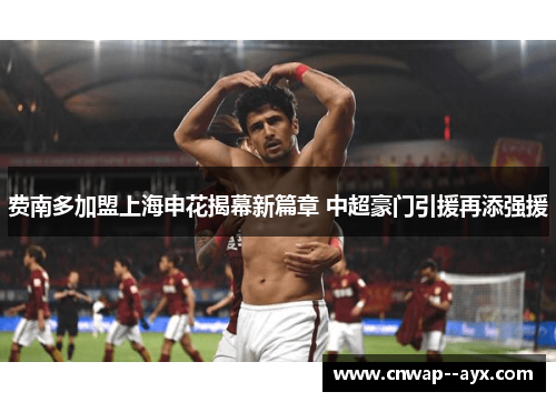费南多加盟上海申花揭幕新篇章 中超豪门引援再添强援
