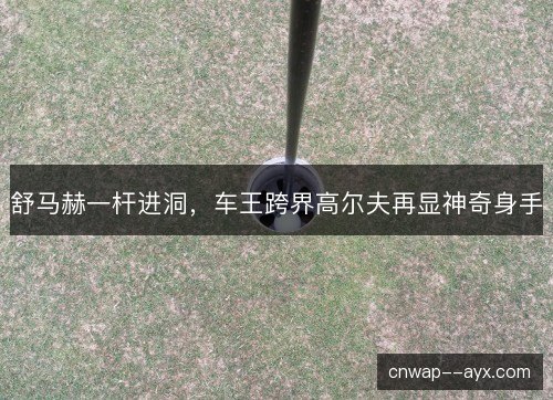 舒马赫一杆进洞，车王跨界高尔夫再显神奇身手
